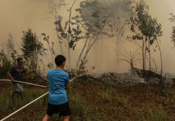 Pemerintah gelar evaluasi karhutla Kalimantan lewat rapat terbatas]