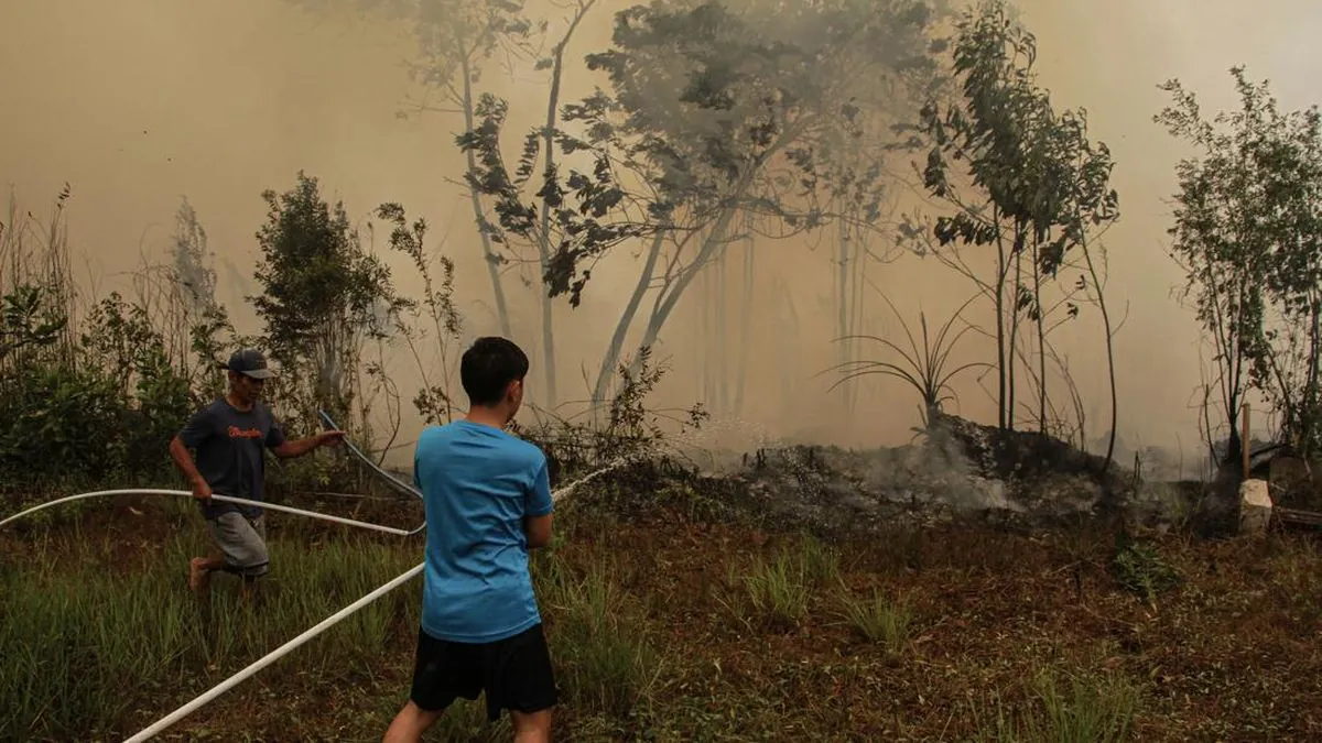 Pemerintah gelar evaluasi karhutla Kalimantan lewat rapat terbatas]