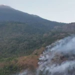 Daftar gunung di Jawa yang dilanda karhutla