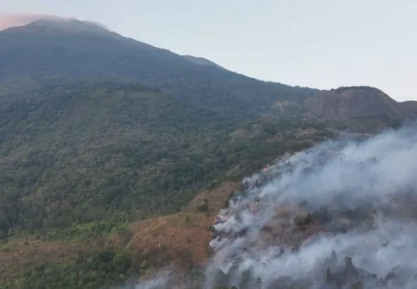 Daftar gunung di Jawa yang dilanda karhutla