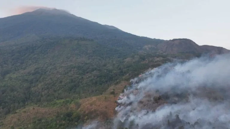 Daftar gunung di Jawa yang dilanda karhutla