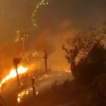 Enam korban tewas karhutla Bromo