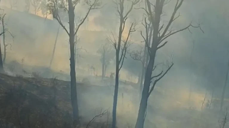 Pemadaman karhutla Bromo menelan enam korban jiwa