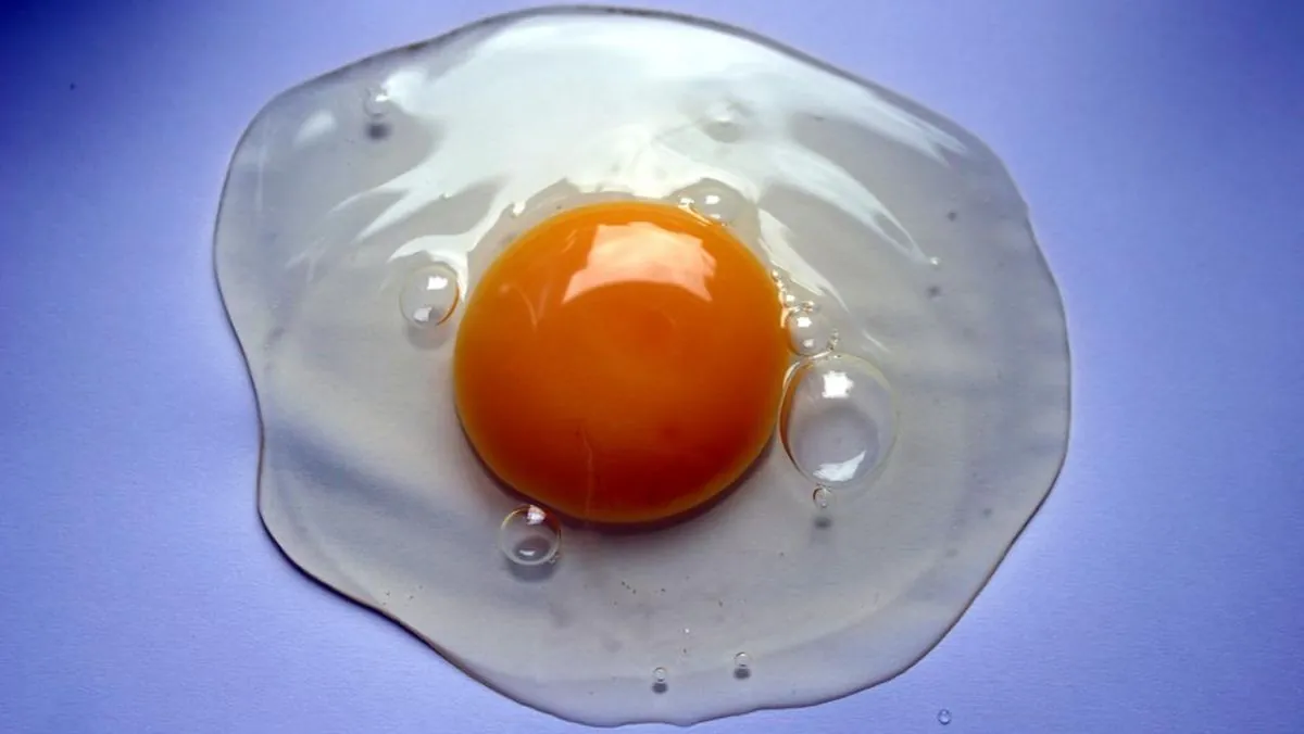 Kuning telur oranye dipengaruhi pakan ayam