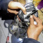 Penggerebekan lab sabu Aceh di Pidie