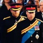 Perdamaian Harry William menjadi harapan besar Pangeran Harry
