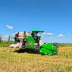 Petani memanen padi di tengah musim kering, Mentan pastikan produksi padi nasional aman