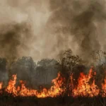 Kebakaran hutan mengancam target iklim Indonesia